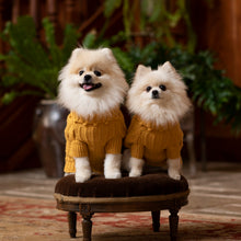 Load image into Gallery viewer, NEW Toto Ultra-Luxe Wool Sweater